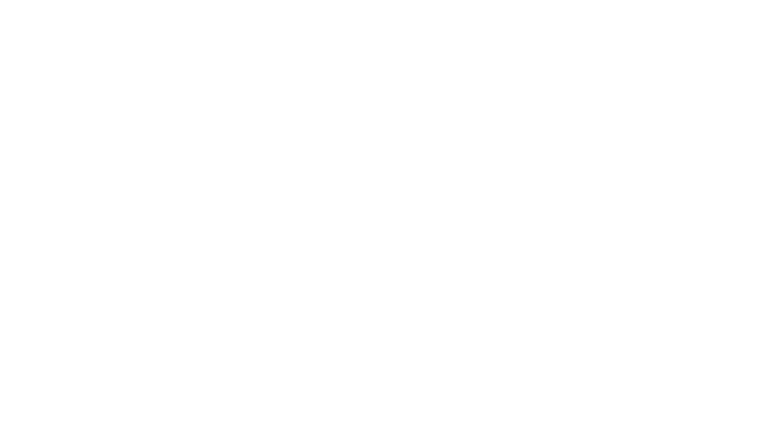 IronHorse Movers
